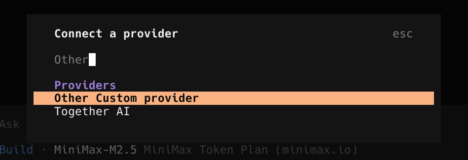 Filtering out Other Custom Providers